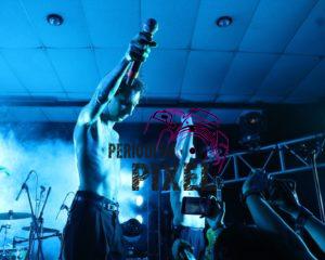 Los "Rebel Cats" ofrecen concierto en Oaxaca