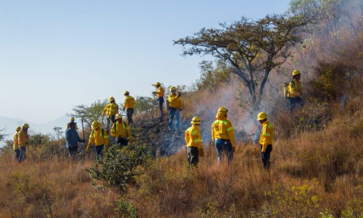 FOTO-3-Coesfo-e-INAH-suman-esfuerzos-para-prevenir-que-incendios-afecten-la-Zona-Arqueológica-de-Monte-Albán.jpeg