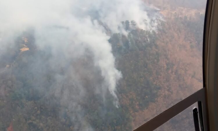 Foto-1-Realizan-reconocimiento-aéreo-del-incendio-en-paraje-Cerro-del-Metate-de-San-Juan-Mixtepec.jpeg