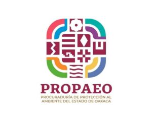Presenta-Procuraduría-Ambiental-de-Oaxaca-denuncias-por-derrame-de-hidrocarburos.jpeg