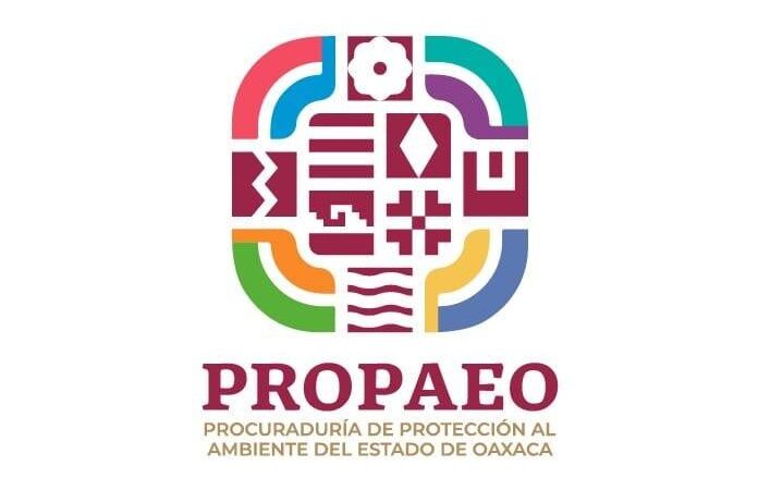 Presenta-Procuraduría-Ambiental-de-Oaxaca-denuncias-por-derrame-de-hidrocarburos.jpeg