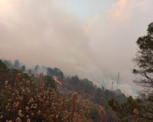 Foto-1-Por-incendio-forestal-en-la-Mixteca-emite-SSO-recomendaciones-a-la-población.jpeg