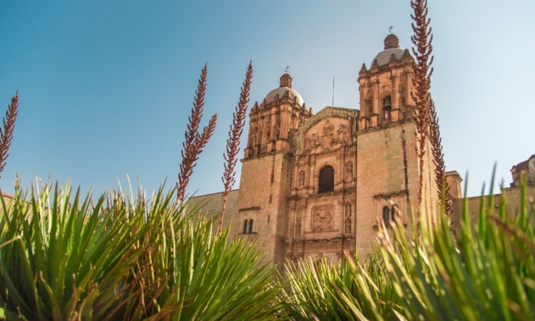 Oaxaca-mostrará-su-riqueza-en-el-Tianguis-Turístico-México-2023-en-la-CDMX-1.jpeg