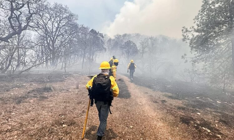 FOTO-8-Combatientes-de-incendios-forestales-héroes-protectores-de-los-bosques-de-Oaxaca.jpeg