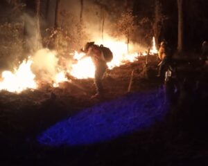 FOTO-4-Atiende-Gobierno-de-Oaxaca-incendios-forestales-suscitados-en-la-entidad-.jpeg