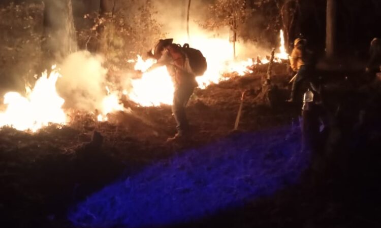 FOTO-4-Atiende-Gobierno-de-Oaxaca-incendios-forestales-suscitados-en-la-entidad-.jpeg