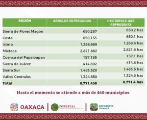 Suma Reforesta Oaxaca 8.7 mil de hectáreas replantadas en el estado 2